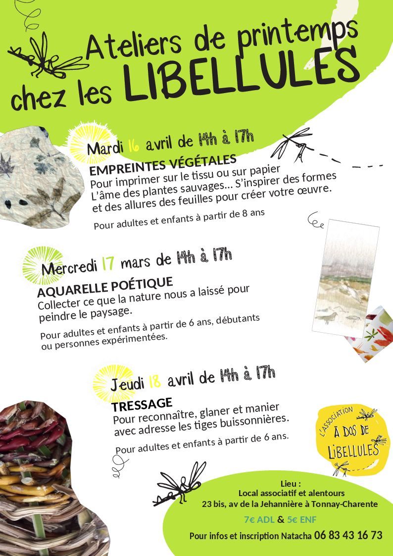 ateliers printemps libellules 2024