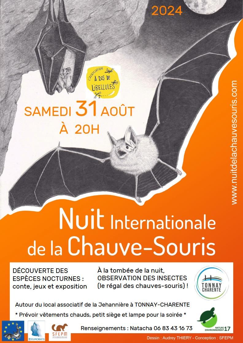 nuit chauvesouris 2024